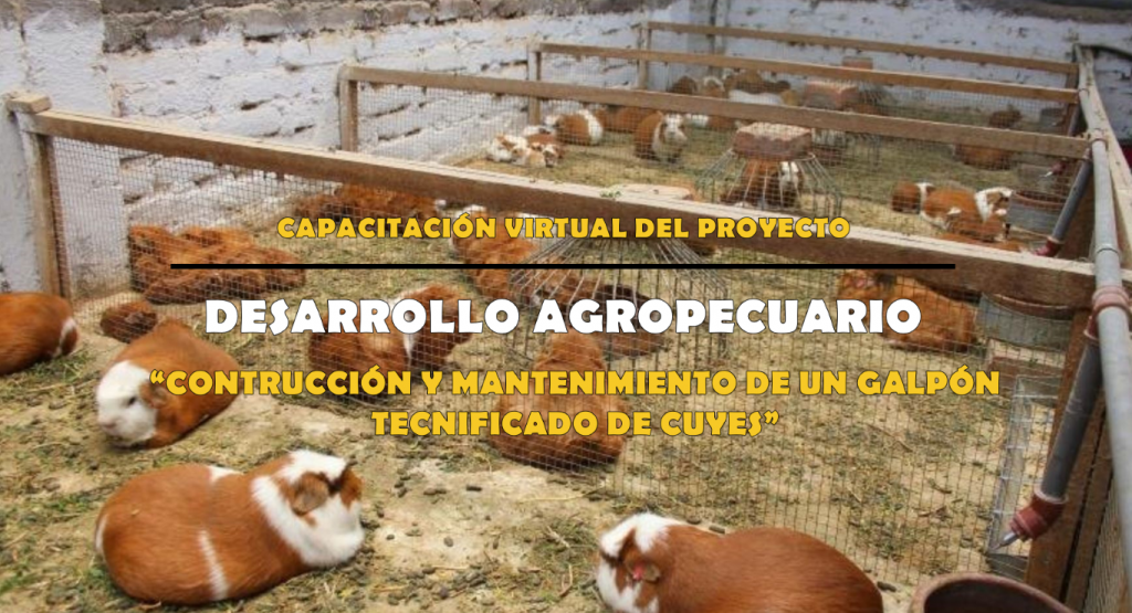 Proyecto Desarrollo Agropecuario - Construcción y mantenimiento de un galpón tecnificado de cuyes